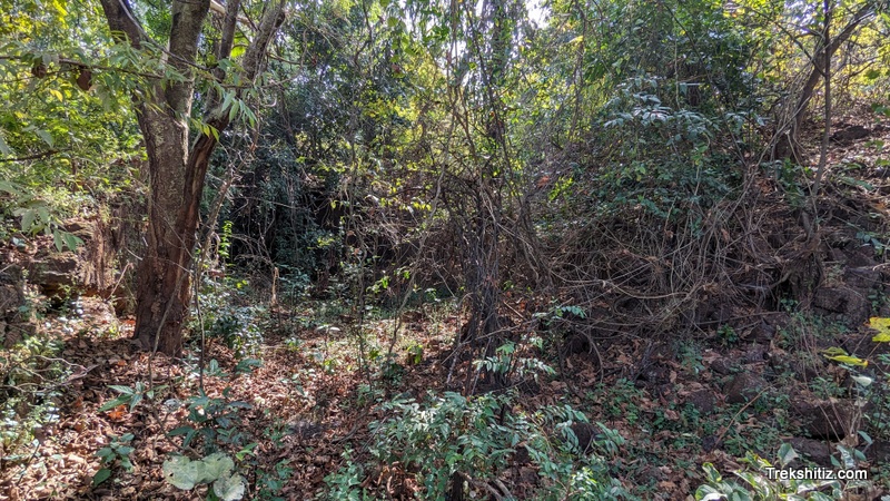 Siddhagad (Malvan)